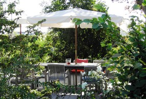 Tisch mit Sonnenschirm im Grünen